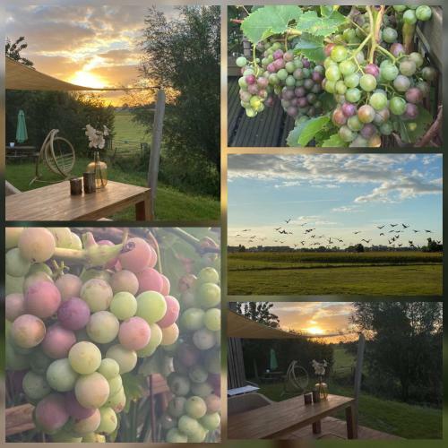 Hostal Bommelerhoeve B&B & Vakantiewoning