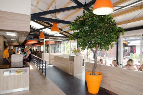 Lodge 4 Personen Camping de Molenhof