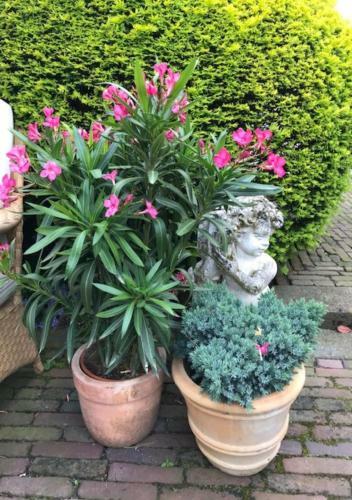 B&B Ereprijs