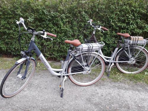 Logeren Op De Thoolse Parel Boerderij