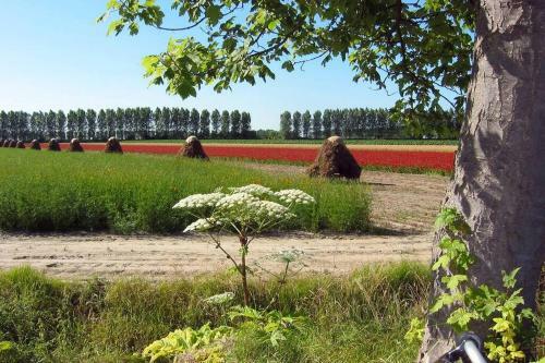 Logeren Op De Thoolse Parel Boerderij
