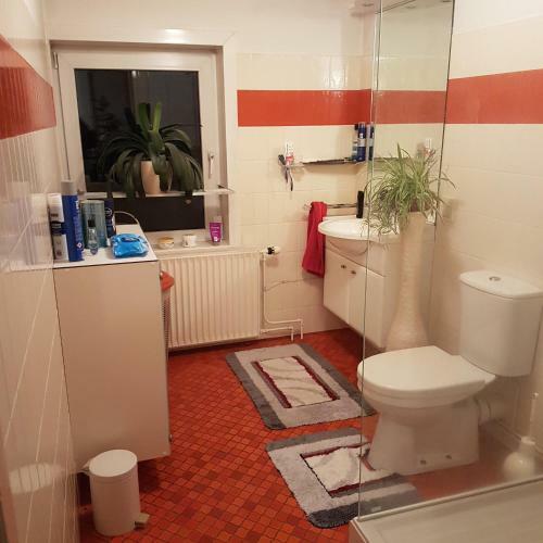 B&B Mooie Tuin In Twello