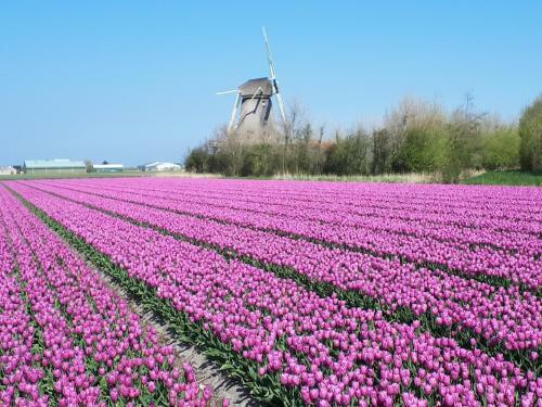 B&B De Keinsmer