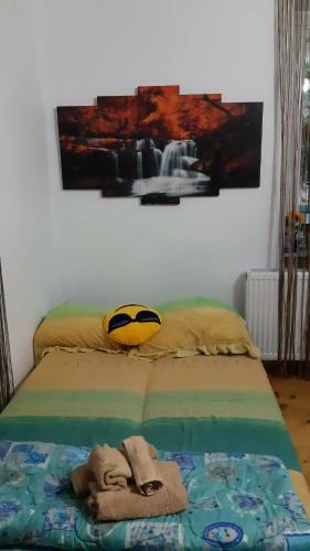 Cazare La Tara �n Mandra, Jud Brasov