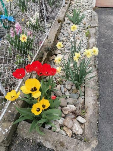 Cazare La Tara �n Mandra, Jud Brasov
