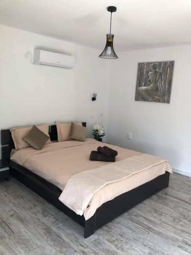 Apartamento Elgringo Clisura Dunarii