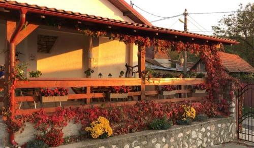 Agroturismo Casa De Vacanta Potoc