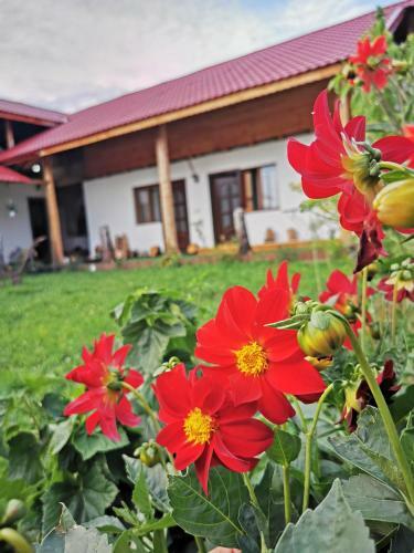 Jugul ??ranului Agropensiune Polovragi, Gorj
