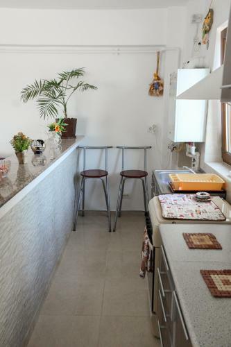 Apartament Mircea