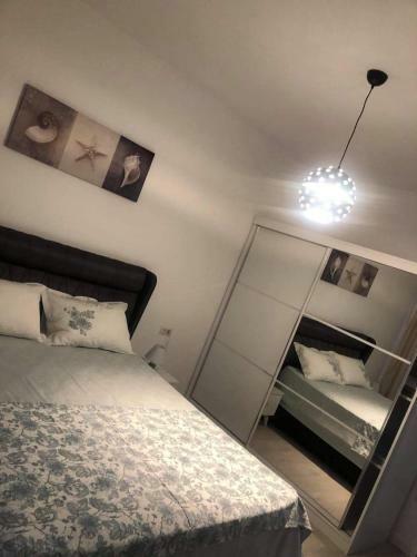 Apartament David