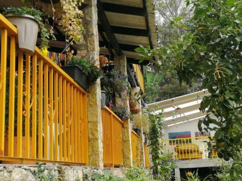 Acaima: Paisaje, Flores Y Arte