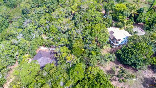 Hostal Guest House Para�so Da Mata Itacar�
