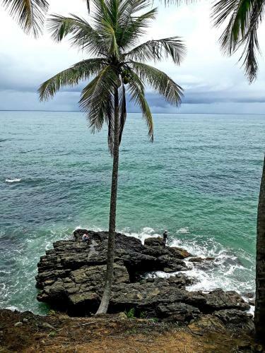 Hostal Guest House Para�so Da Mata Itacar�
