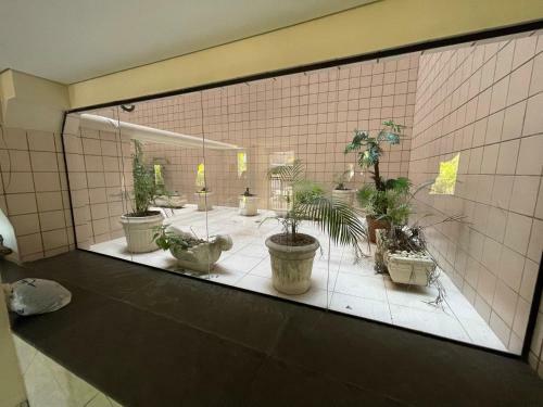 Confort�vel Apartamento 1 Dorm Com Piscina E Lazer