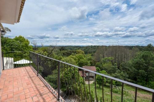 Rosa Casa Dos Pinheiros