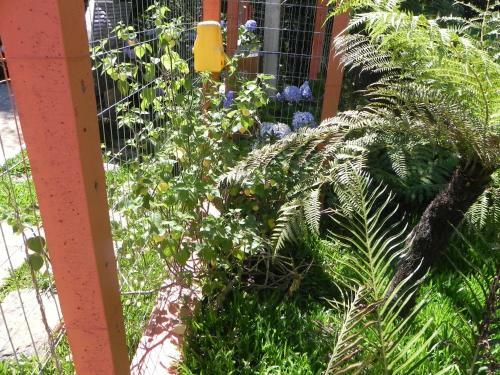 Apartamento V Do Lago Negro