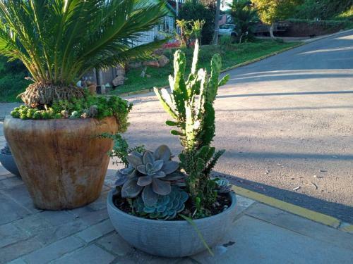 Cantinho Da Rose