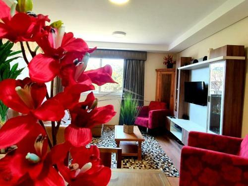 Apartamento Apto Centro Gramado - Aceita Pets