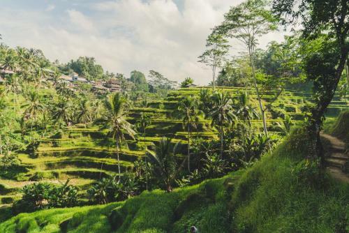 Beautiful Villa With Private Pool, Bali Villa 2012