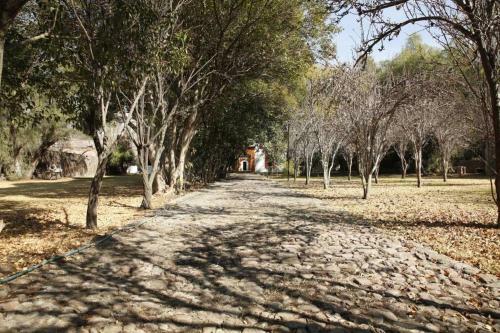 Espectacular Hacienda Del Siglo XVIII