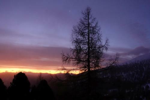 Heidi Chalets Falkert Heidialm - Chalet Almsommer