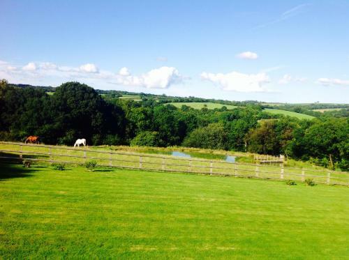 Fernside Bed And Breakfast