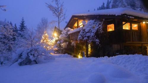 Luxus Chalet M�hlermoos