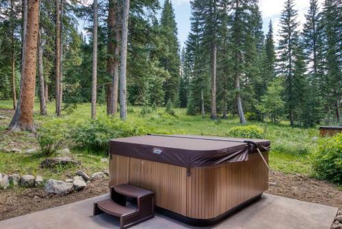 Climbing Bear Lodge Townhome Great Setting Hot Tub