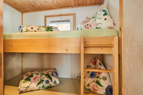 Camping Dreil�ndereck Blockh�tten & Apartments