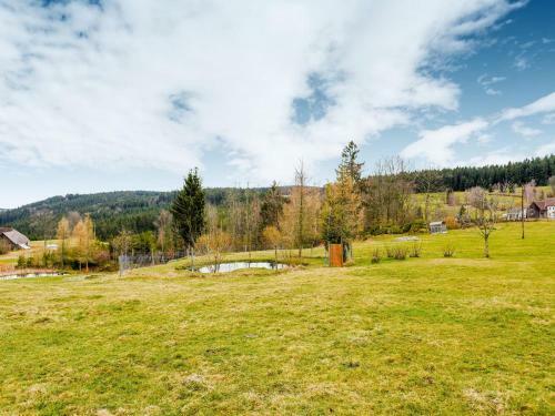 Alluring Holiday Home In Sandl Near River