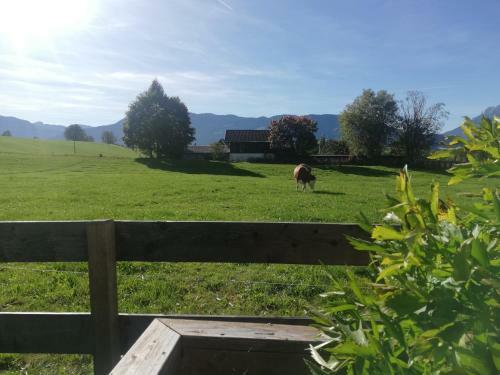 Apartamento Haus Schreder