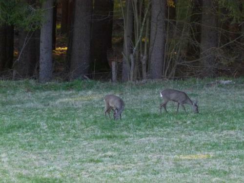 Apartamento Berg-arche