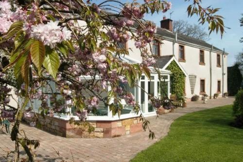 Hostal Bessiestown Country Guesthouse