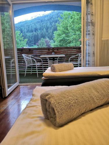 Hostal Alpinpelso