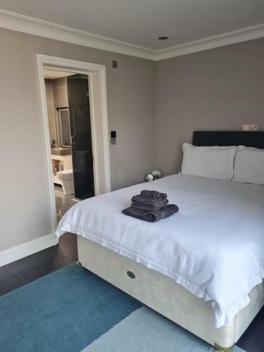 Private Luxury Annex Apartment With Secure Free Parking