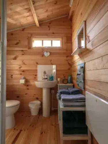 The Cabin