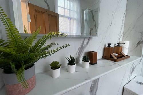 Boutique City Centre Apartment With Parking