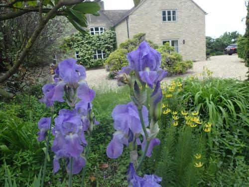 Bed & Breakfast Field End House