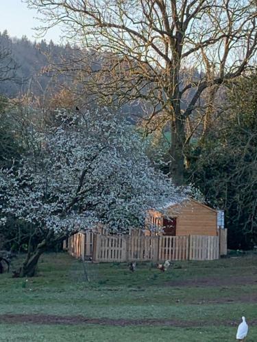 Bed & Breakfast Hedgehog Lodge Solitary Retreat