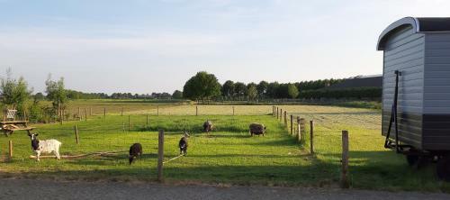 B&B Wijd En Zijt Pipowagen