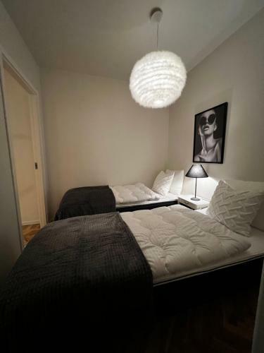 Nice Apartment Very Close To Isaberg Hestra