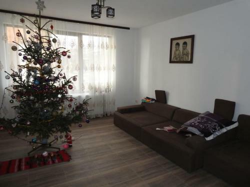 Casa Oana