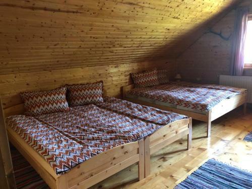Cabana Bradului