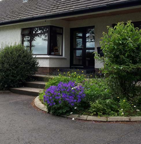 Bed & Breakfast Dewhamill