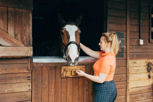 Agroturismo Luccombe Farm Holiday Cottages