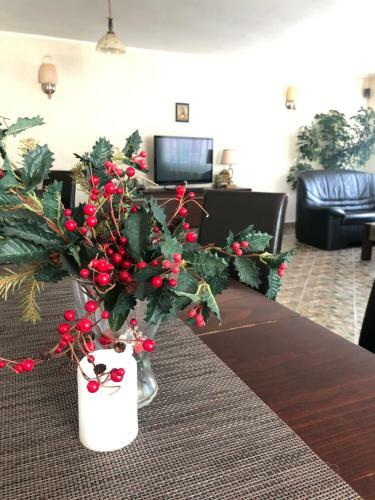 Hostal Pensiunea Vladet Predeal