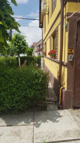 Apartamento Emm House - Relax & Fresh Air From Brasov