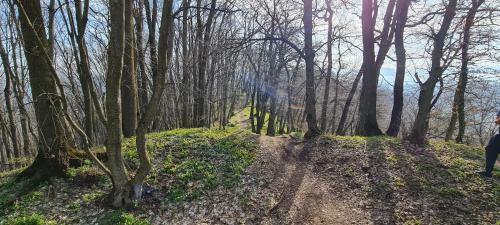 Apartamento Emm House - Relax & Fresh Air From Brasov