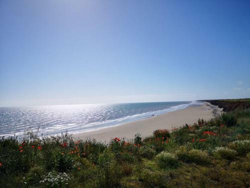 Coastal Haven