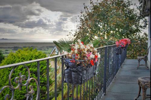 Cedar Grove: Luxury B&B